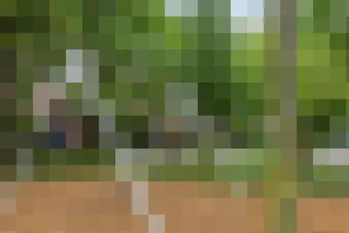 Leyborch 17 Rosmalen thumbnail 28