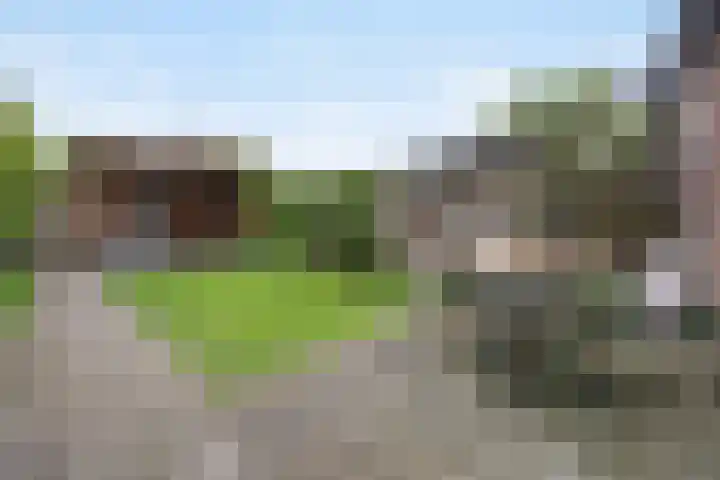 Leyborch 17 Rosmalen thumbnail 4