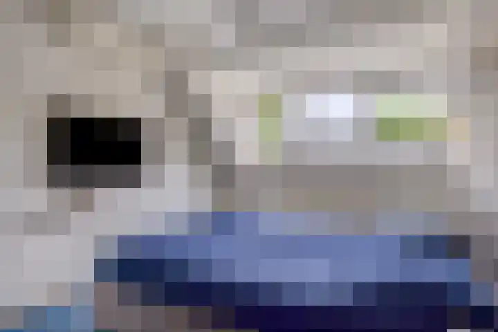 Leyborch 24 Rosmalen thumbnail 10