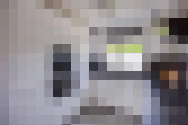 Leyborch 24 Rosmalen thumbnail 7