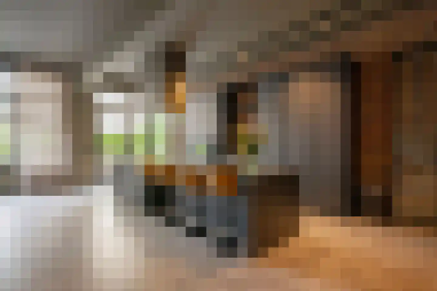 Leyenbroekerweg 31 Sittard thumbnail 16
