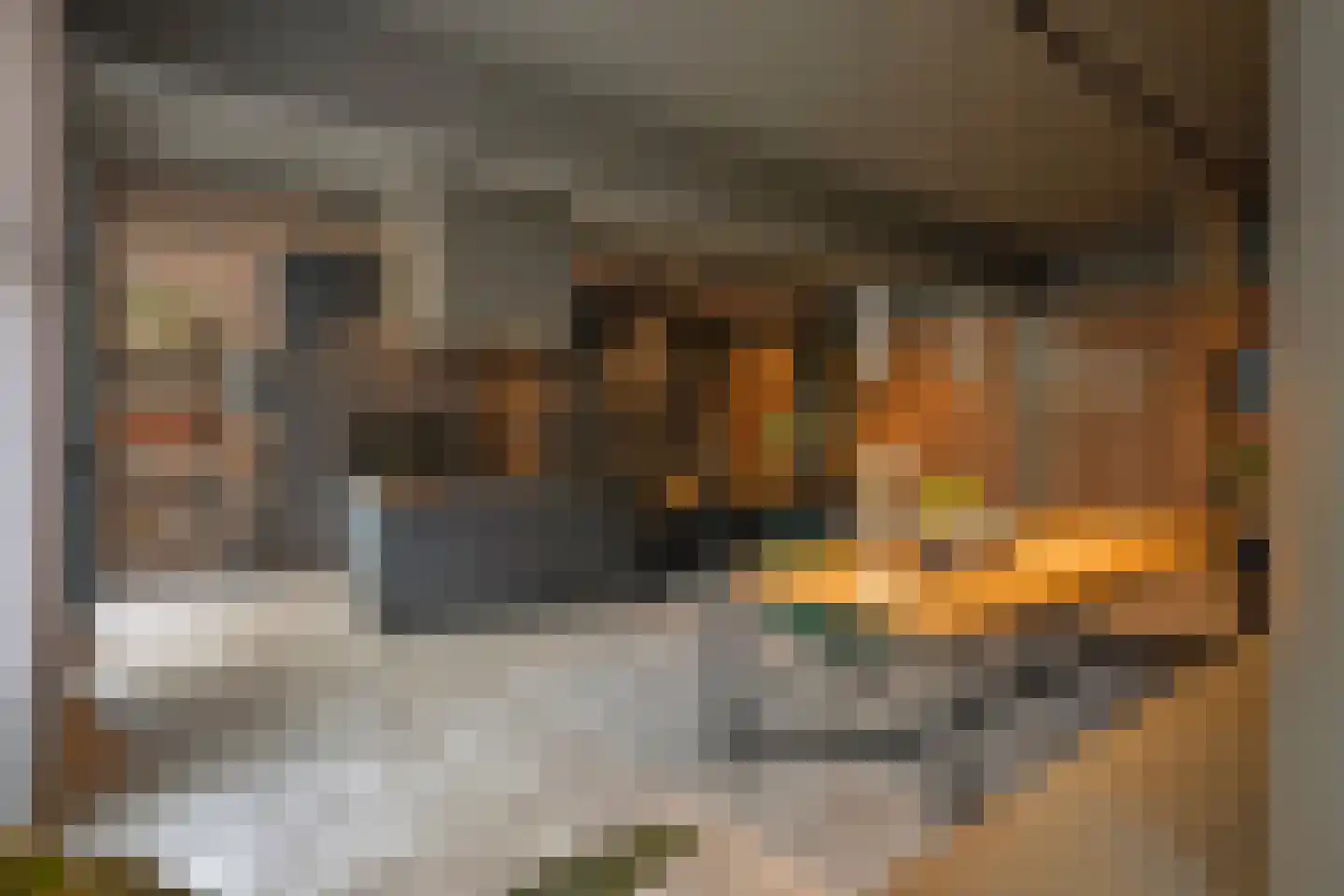 Leyenbroekerweg 31 Sittard thumbnail 19