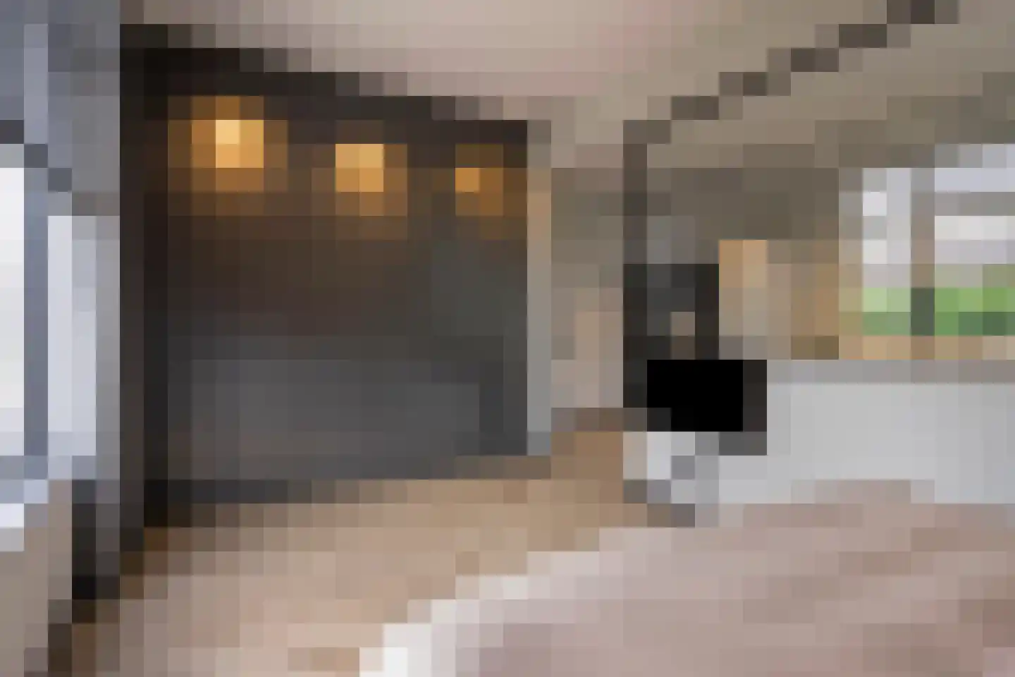 Leyenbroekerweg 31 Sittard thumbnail 33