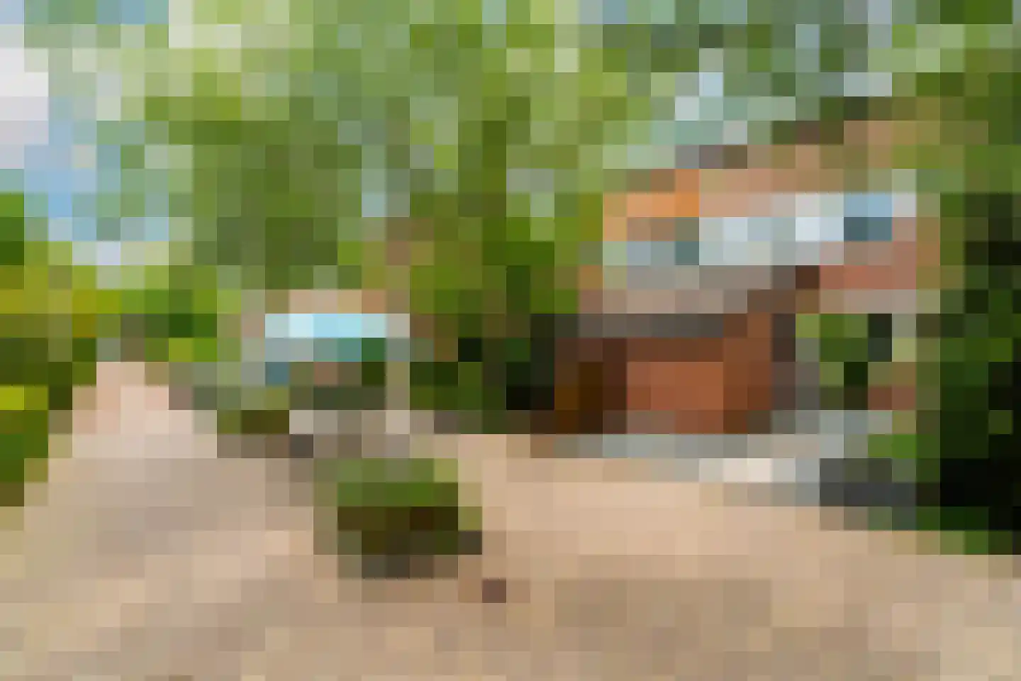 Leyenburg 15 Pijnacker thumbnail 5