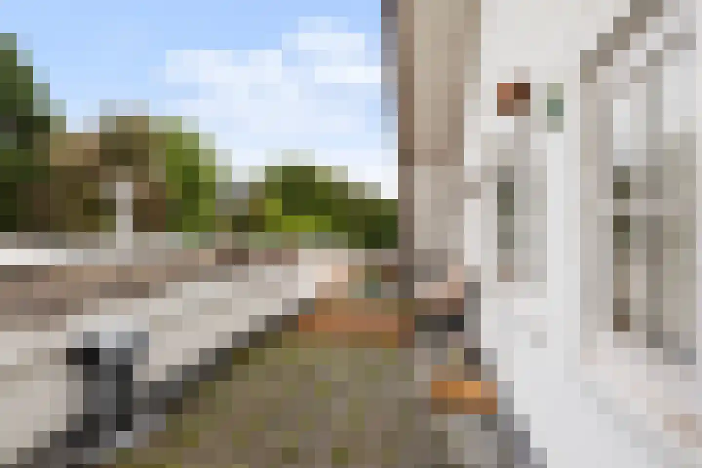Leyenseweg 16 Bilthoven thumbnail 32