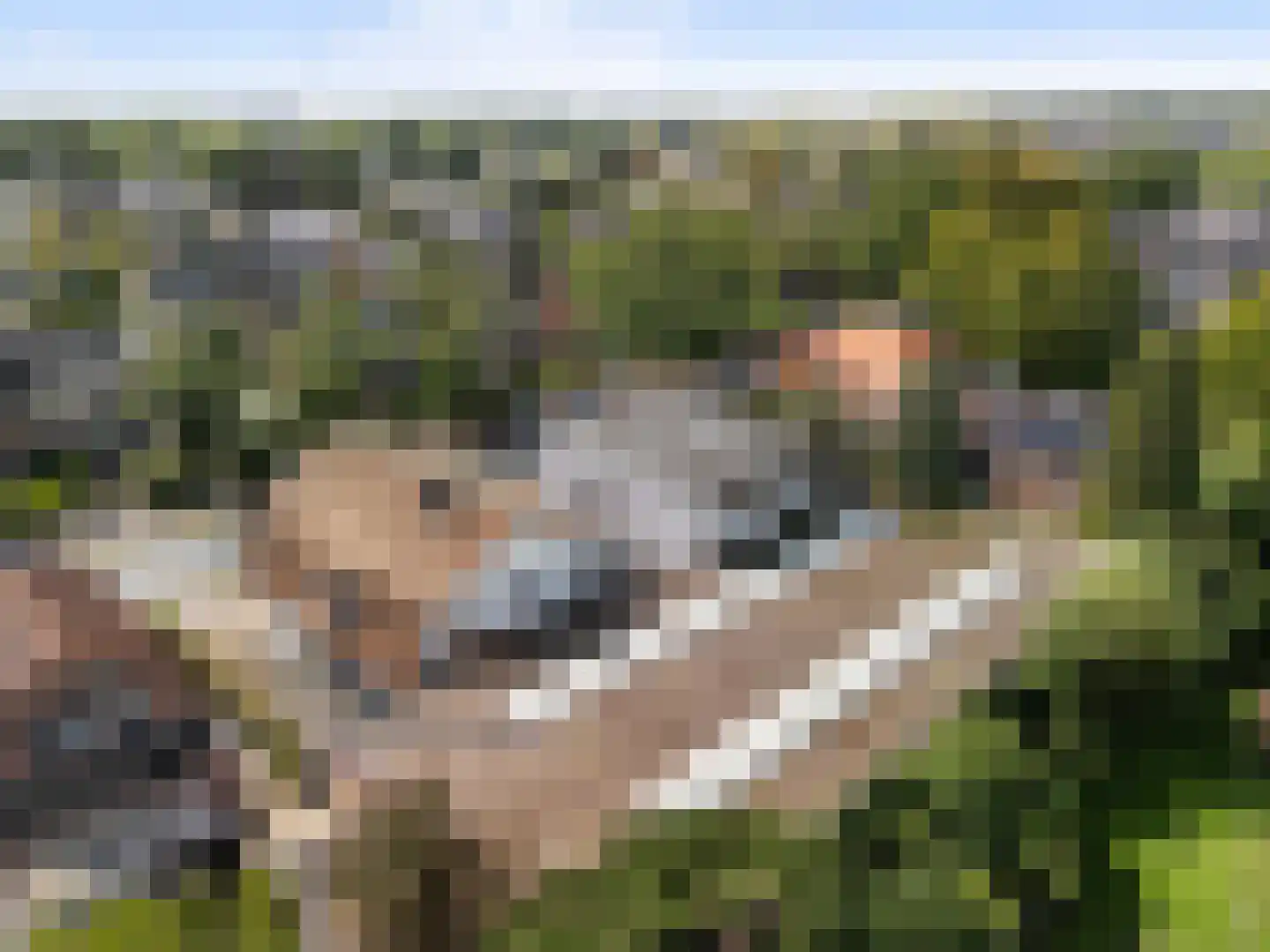 Leyenseweg 16 Bilthoven thumbnail 61