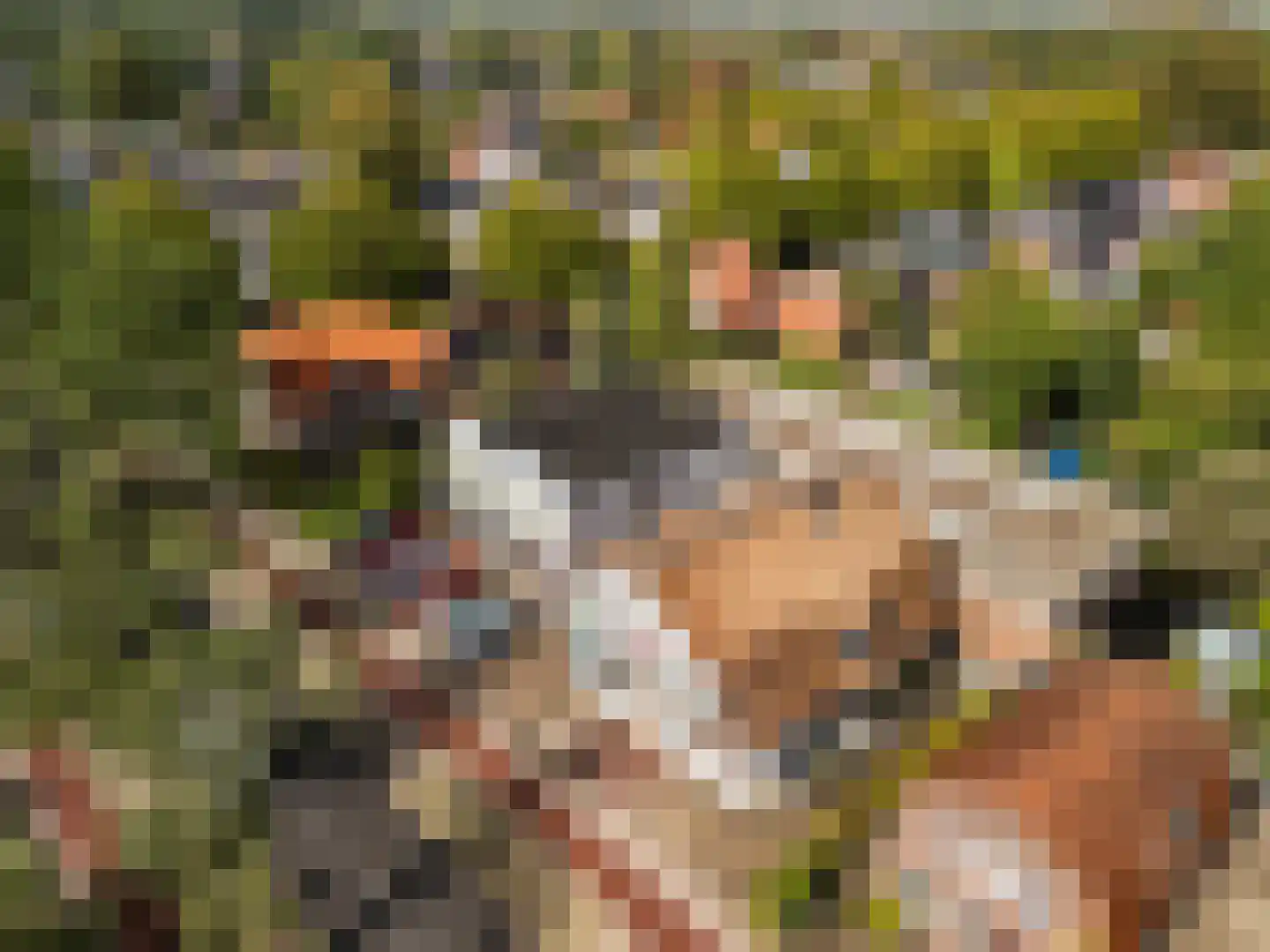 Leyenseweg 16 Bilthoven thumbnail 65