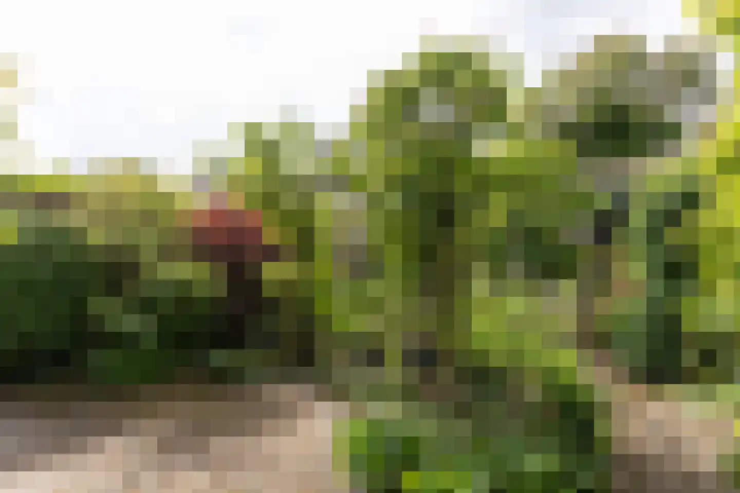 Leyenseweg 31 Bilthoven thumbnail 31