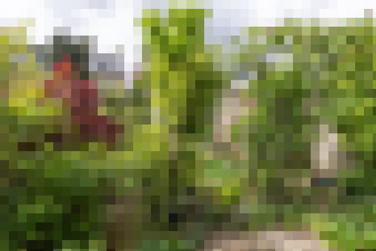 Leyenseweg 31 Bilthoven thumbnail 32
