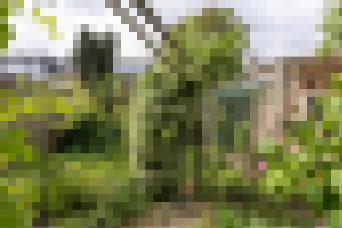 Leyenseweg 31 Bilthoven thumbnail 33