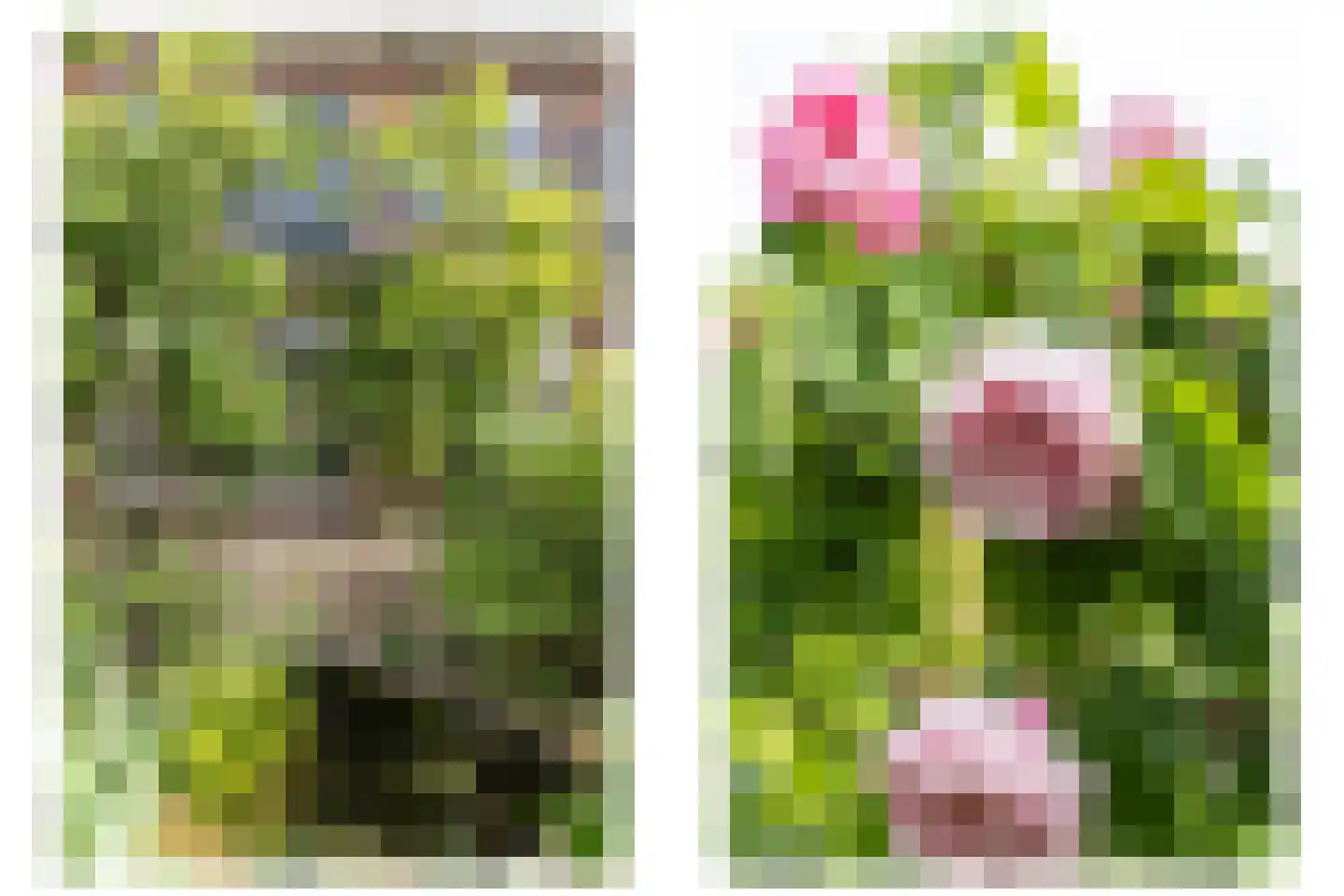 Leyenseweg 31 Bilthoven thumbnail 34