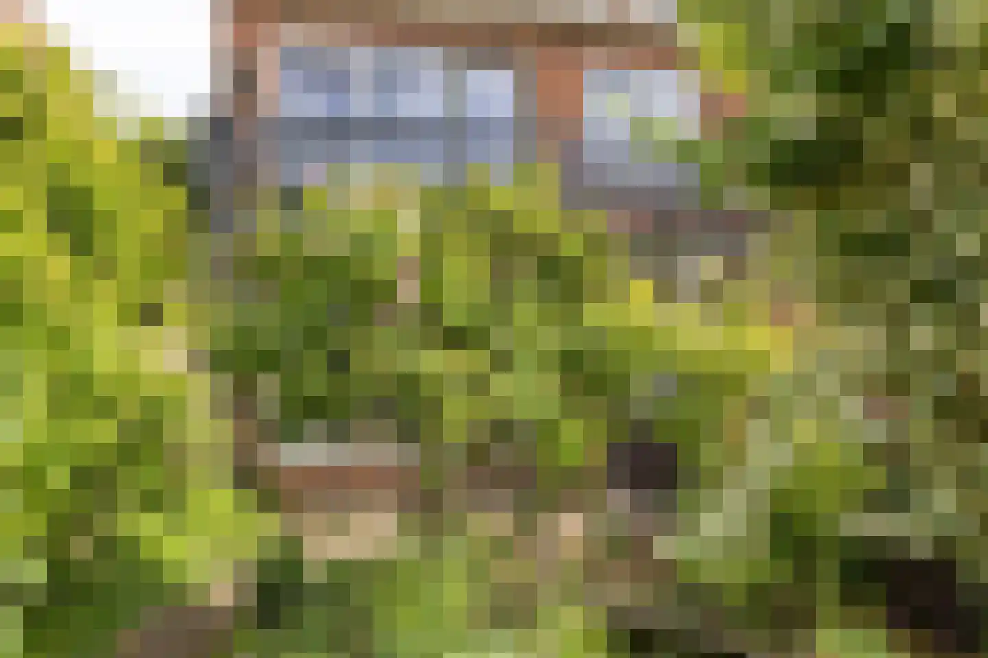 Leyenseweg 31 Bilthoven thumbnail 35