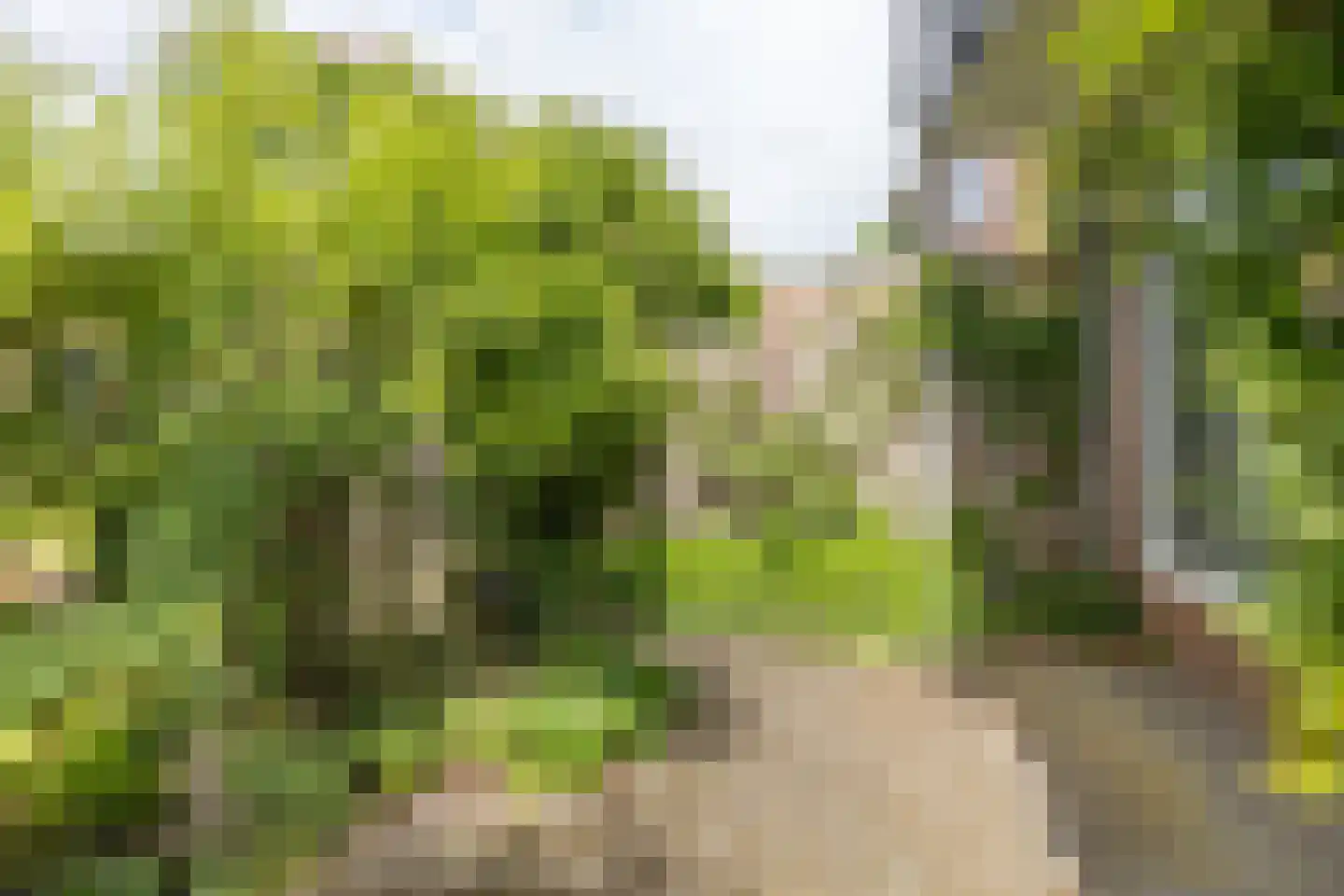 Leyenseweg 31 Bilthoven thumbnail 37