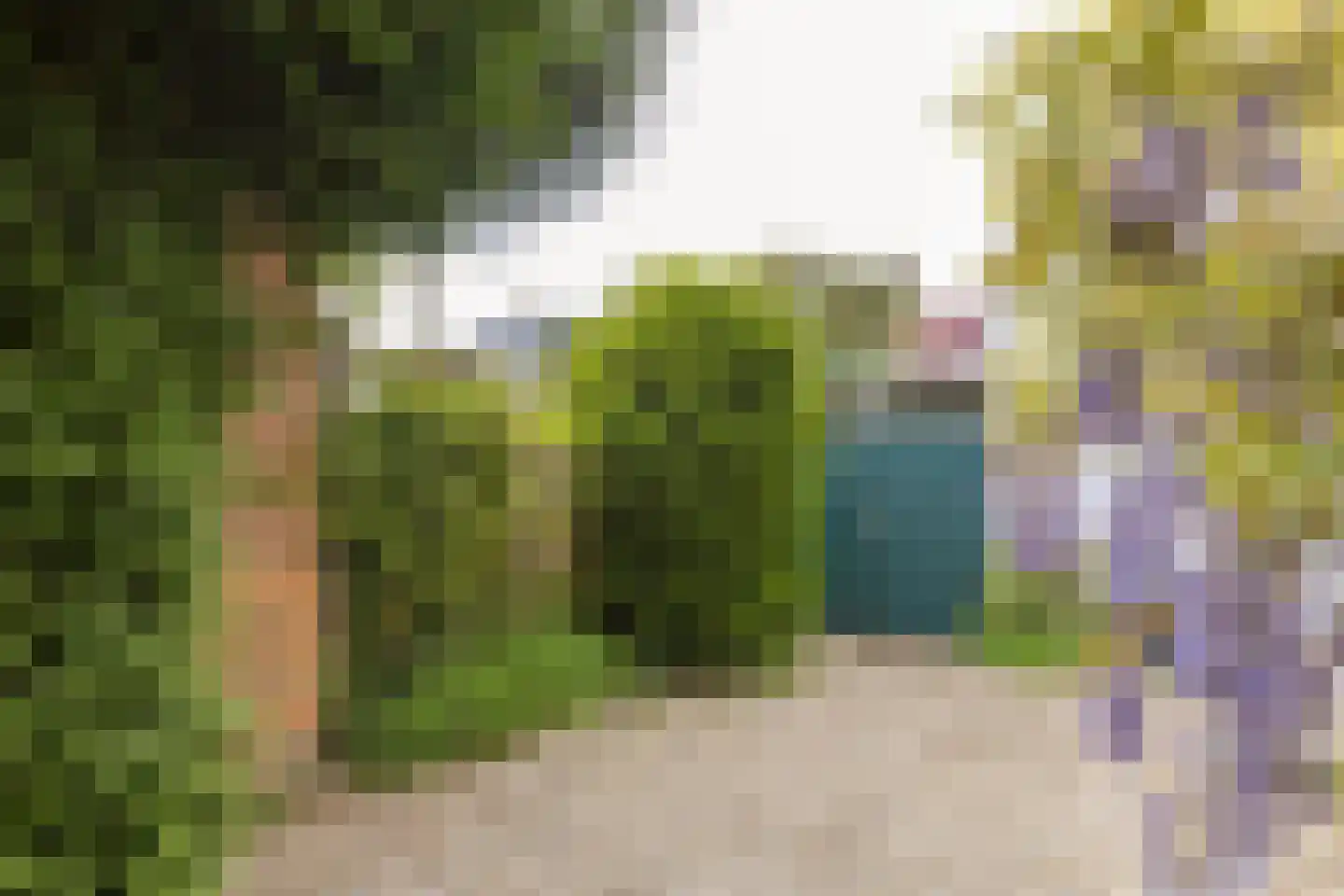 Leyenseweg 31 Bilthoven thumbnail 38
