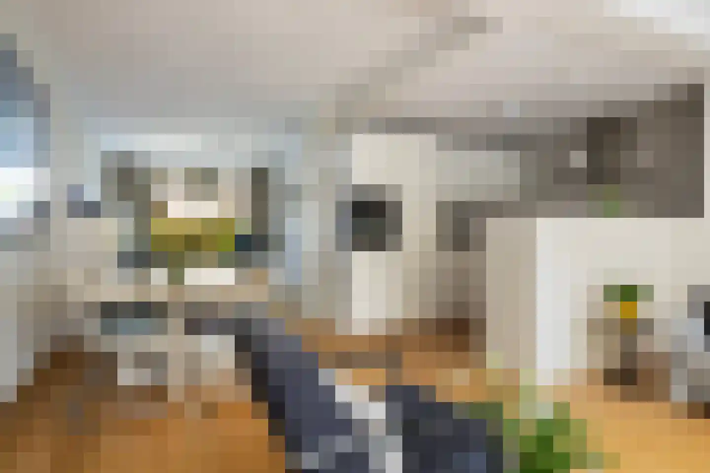 Leyenseweg 81 Bilthoven thumbnail 8