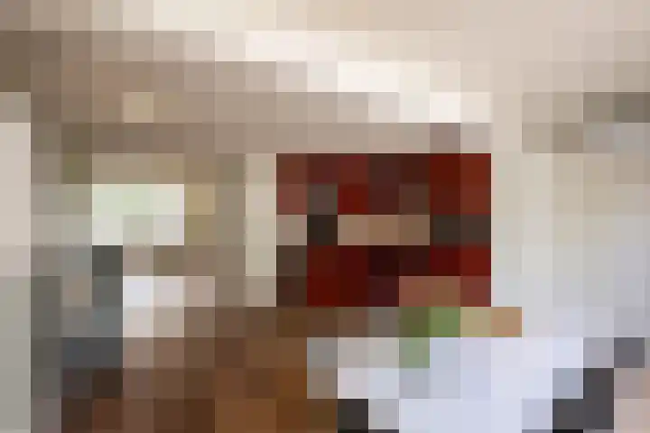 Leygraaf 313 Oss thumbnail 10