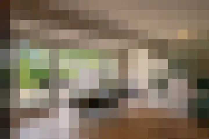 Leygraaf 313 Oss thumbnail 11