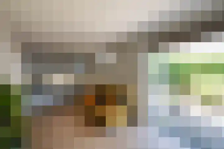 Leygraaf 313 Oss thumbnail 12