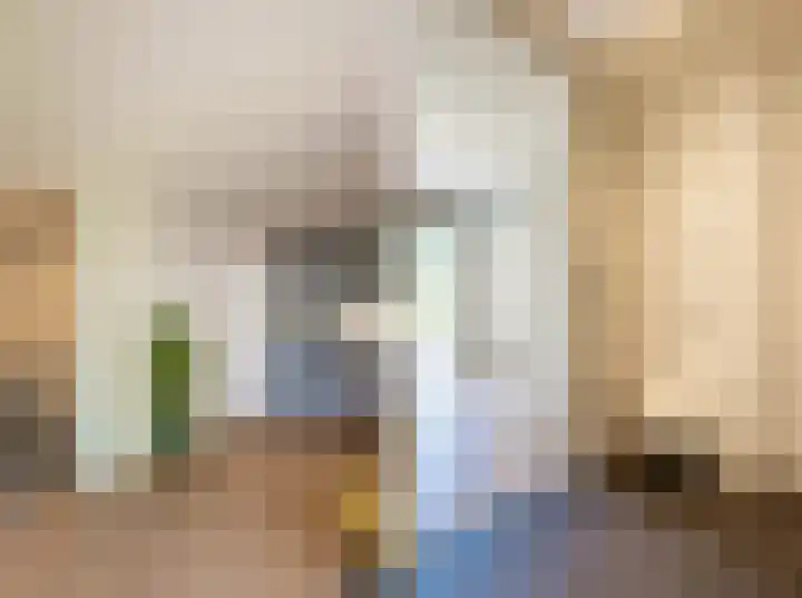 Leygraaf 313 Oss thumbnail 13
