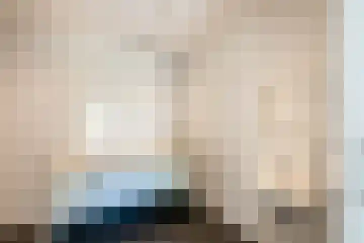 Leygraaf 313 Oss thumbnail 14