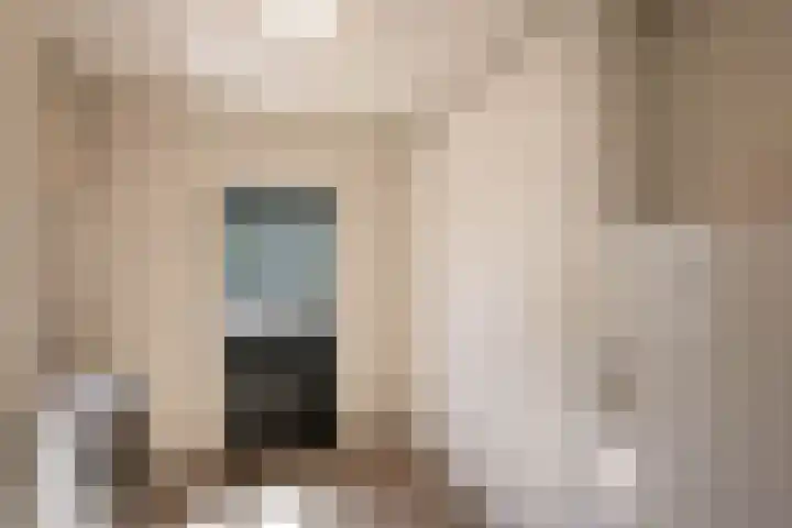 Leygraaf 313 Oss thumbnail 15