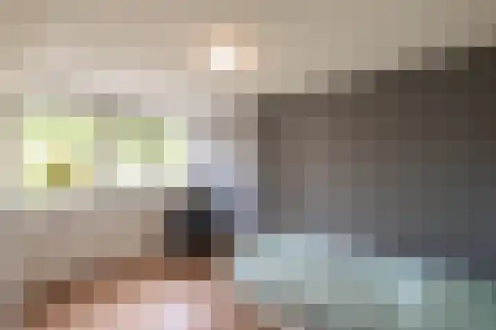 Leygraaf 313 Oss thumbnail 17