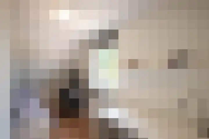 Leygraaf 313 Oss thumbnail 18
