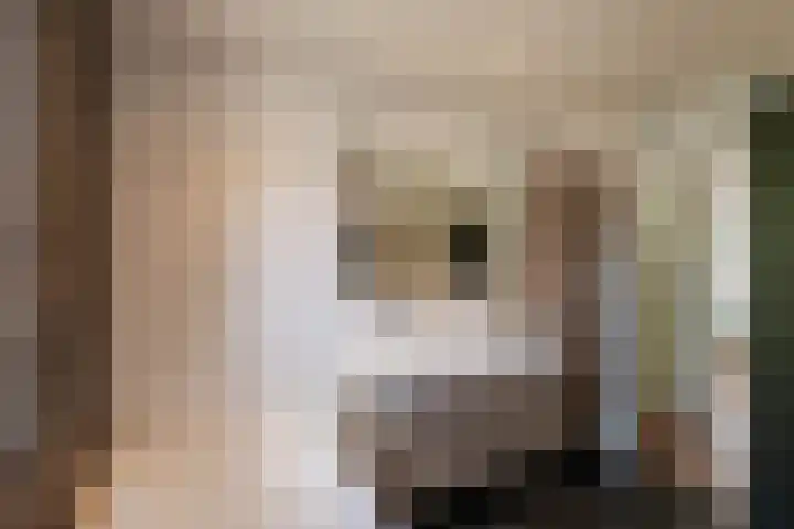 Leygraaf 313 Oss thumbnail 21