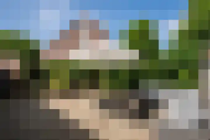 Leygraaf 313 Oss thumbnail 24