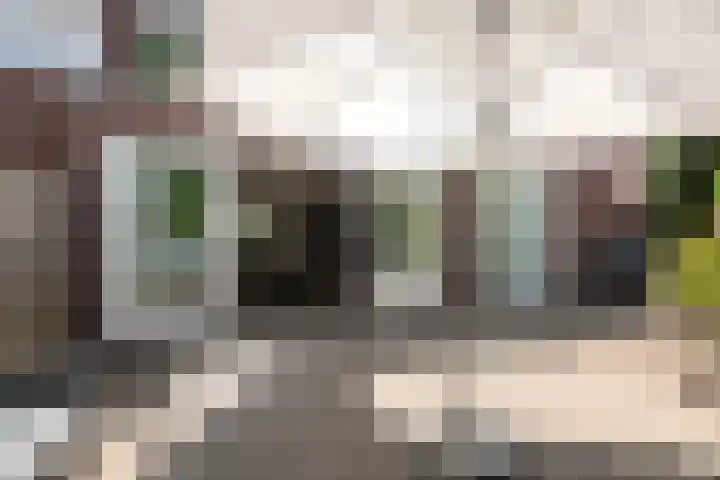 Leygraaf 313 Oss thumbnail 25