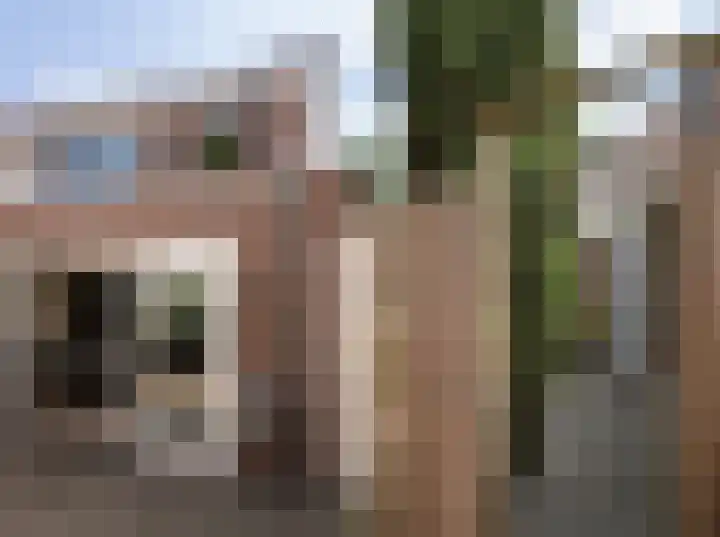 Leygraaf 313 Oss thumbnail 26