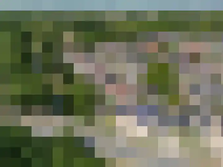 Leygraaf 313 Oss thumbnail 28