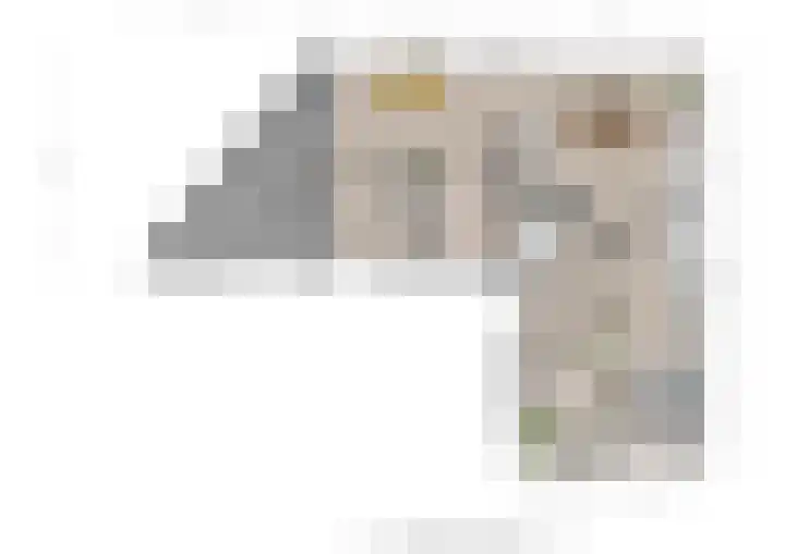 Leygraaf 313 Oss thumbnail 29