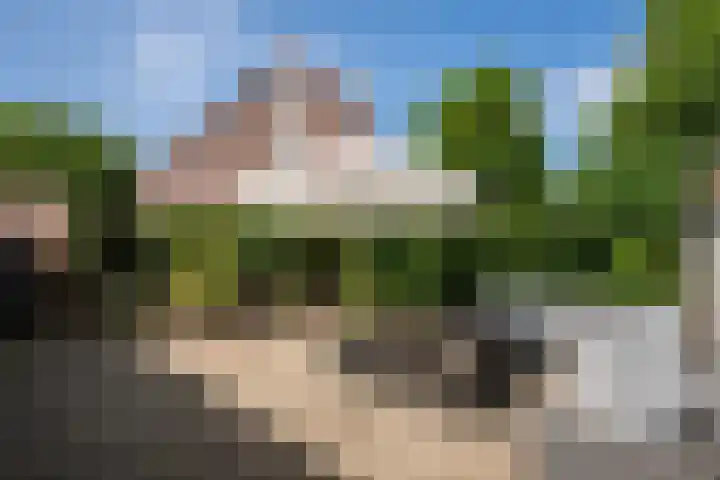 Leygraaf 313 Oss thumbnail 4