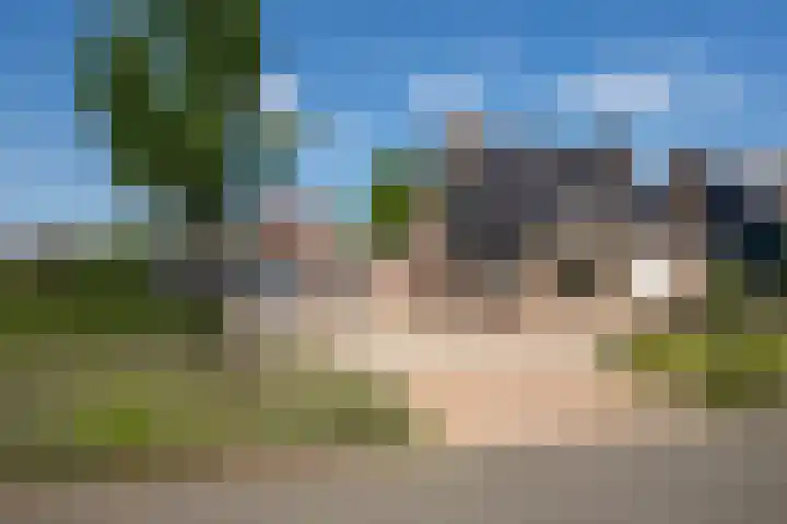 Leygraaf 313 Oss thumbnail 5