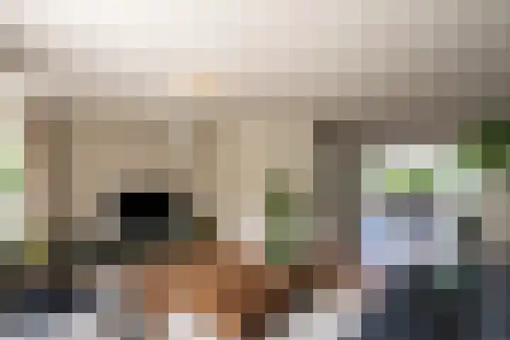 Leygraaf 313 Oss thumbnail 8