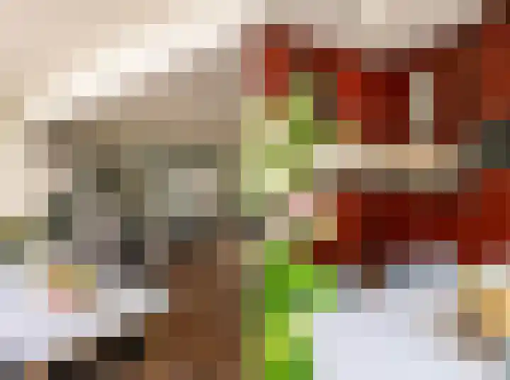 Leygraaf 313 Oss thumbnail 9