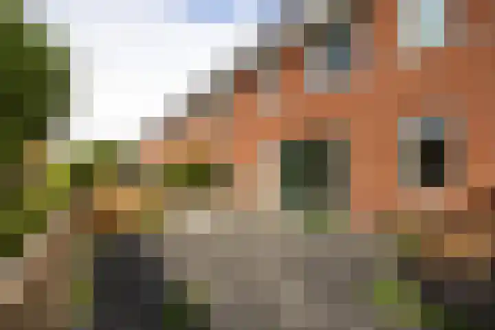 Leylandstraat 9 Haarlem thumbnail 13