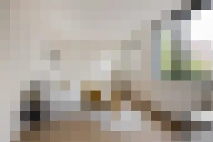 Leylandstraat 9 Haarlem thumbnail 16