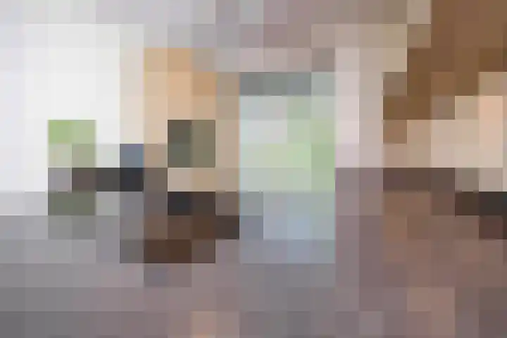 Leypad 19 Haaren thumbnail 10
