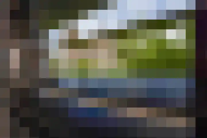 Leypad 19 Haaren thumbnail 12