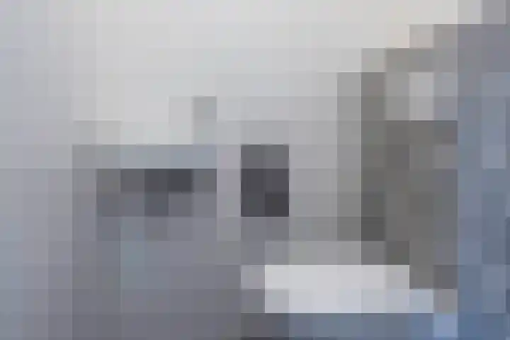 Leypad 19 Haaren thumbnail 14