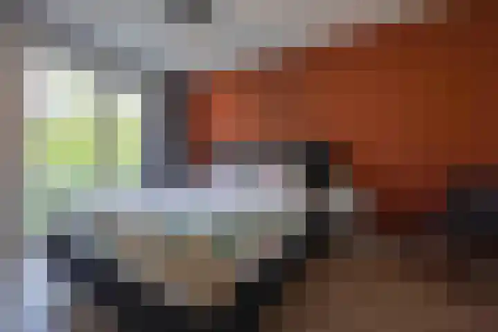 Leypad 19 Haaren thumbnail 15
