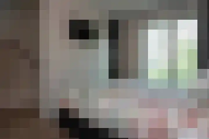 Leypad 19 Haaren thumbnail 16