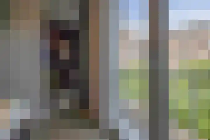 Leypad 19 Haaren thumbnail 17