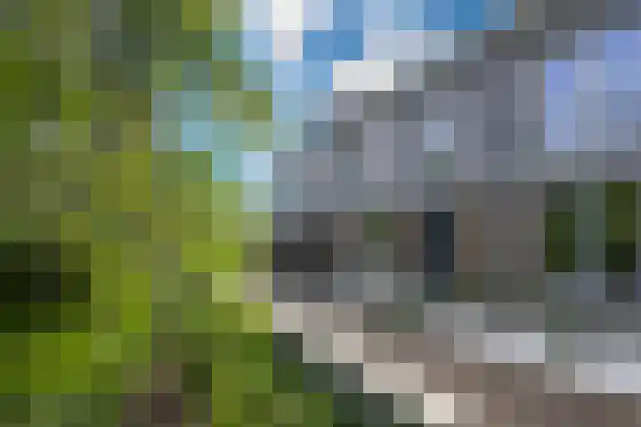 Leypad 19 Haaren foto 2