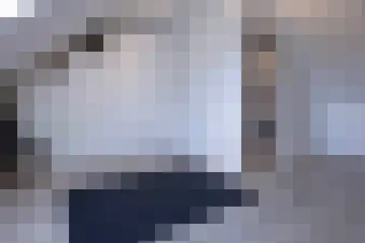 Leypad 19 Haaren thumbnail 25