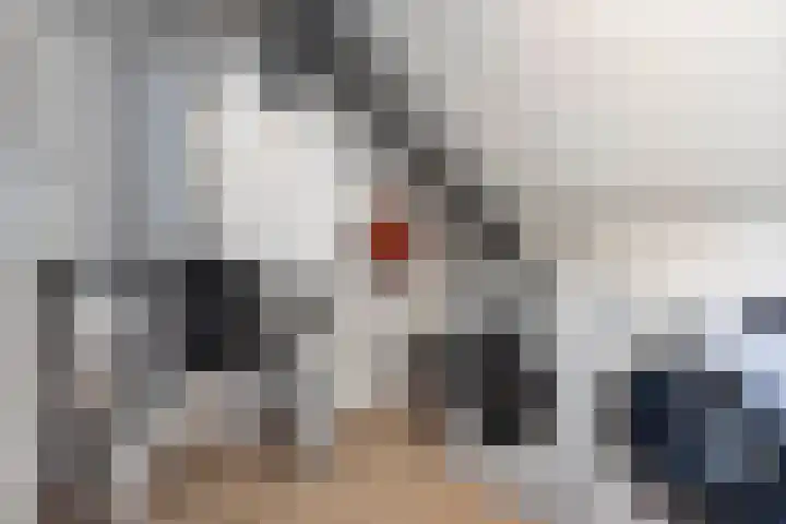 Leypad 19 Haaren thumbnail 26
