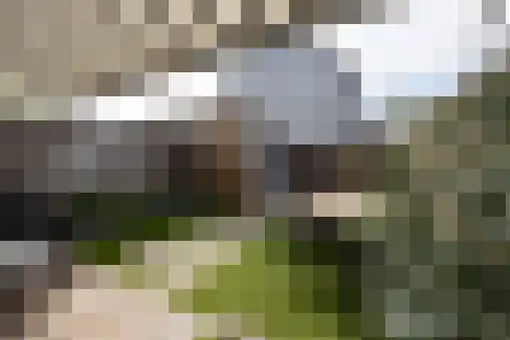 Leypad 19 Haaren thumbnail 28