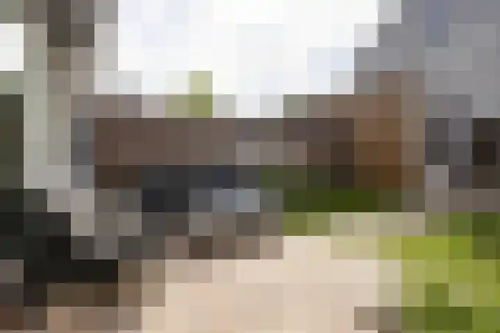 Leypad 19 Haaren thumbnail 29